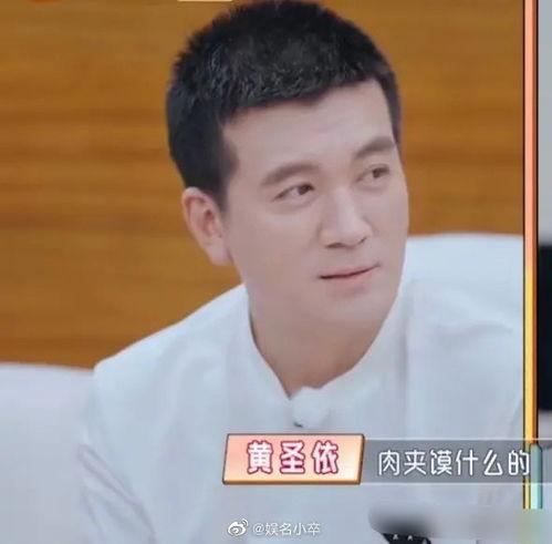 杨子一家爆料视频大全最新,揭秘明星家庭生活幕后真相